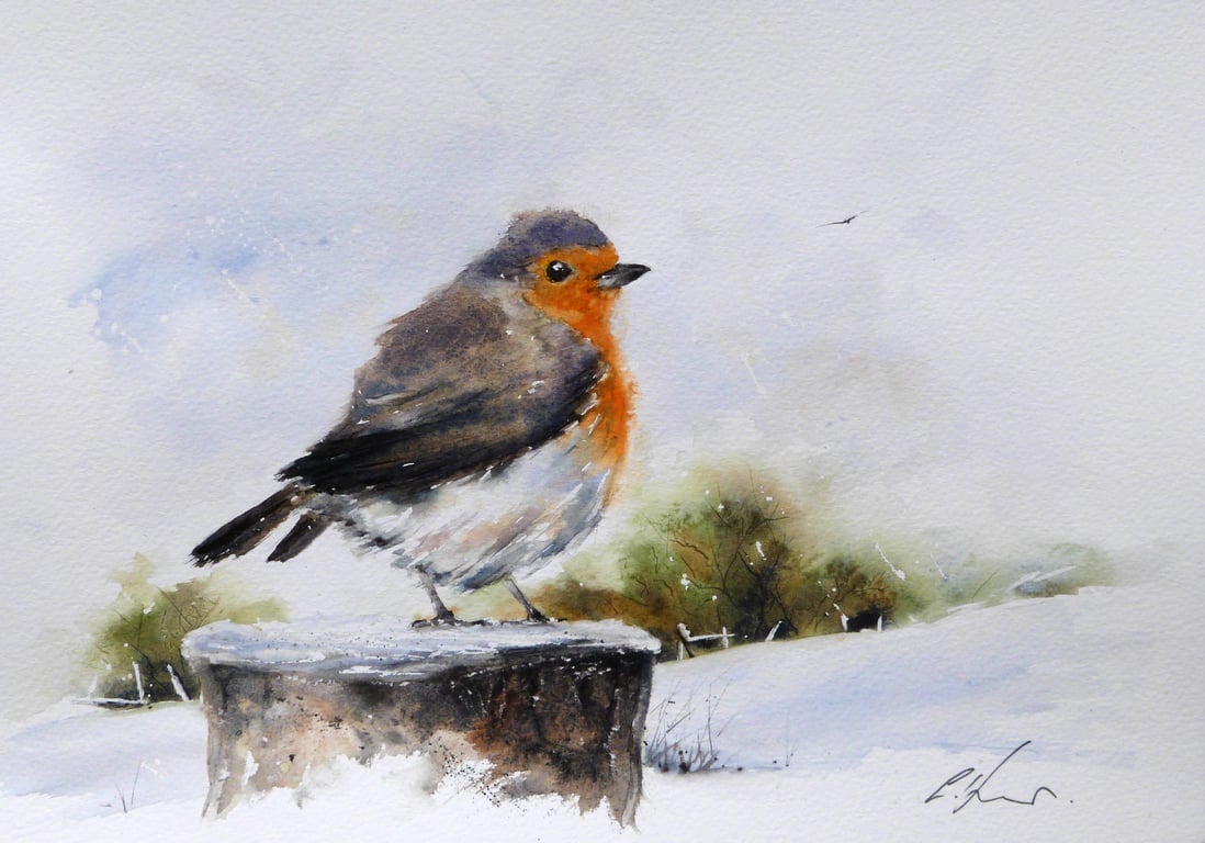 A Winter Robin, Original Watercolour Painting.