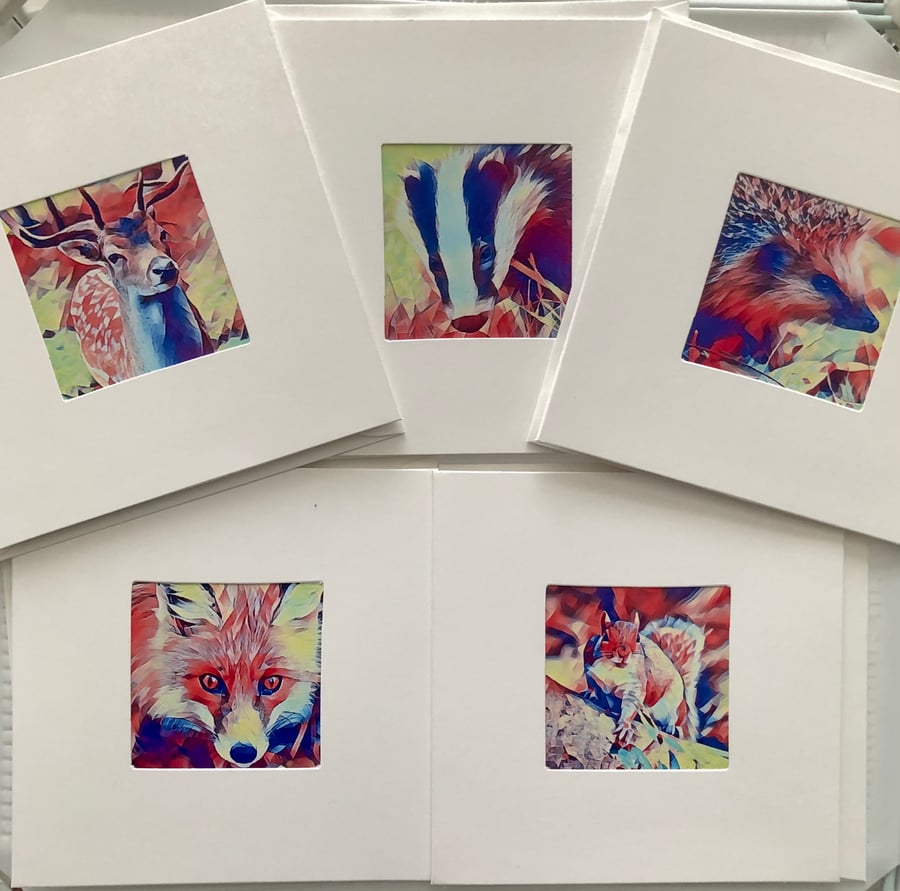 Wildlife greeting cards pack of 5
