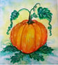 Pumpkin Season 