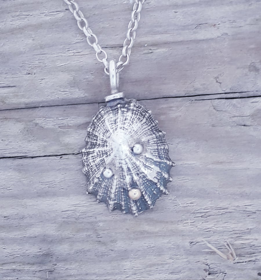 Sterling Silver Limpet with tiny 9 ct detail