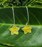 Enamel and fine silver dangle earrings 
