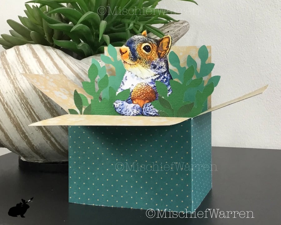 Grey Squirrel 3D Box Card. Blank or Personalised. 3D Gift card holder.