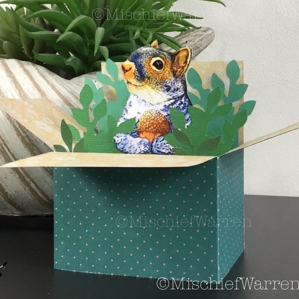 Grey Squirrel 3D Box Card. Blank or Personalised. 3D Gift card holder.