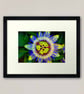 Passion Flower Summer Flowering Plant Photograph Print - Image 4