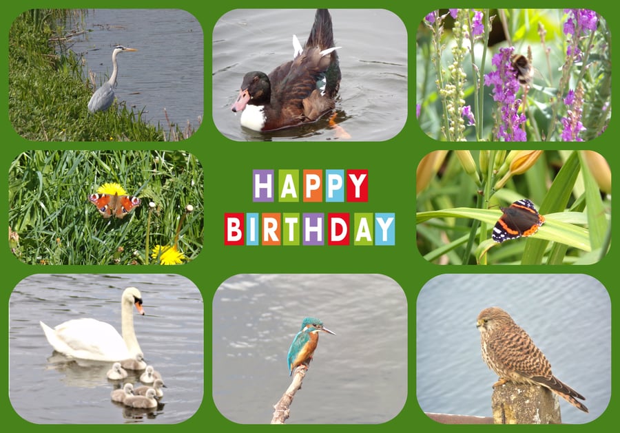 Happy Birthday Norfolk Wildlife Card A5