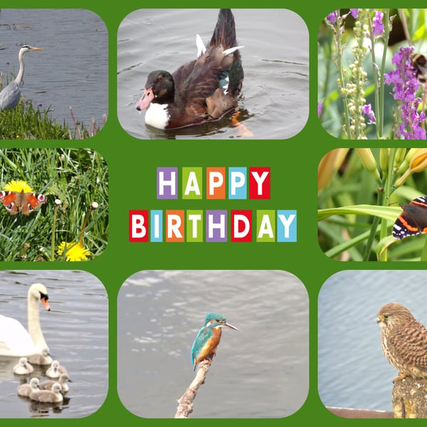 Happy Birthday Norfolk Wildlife Card A5