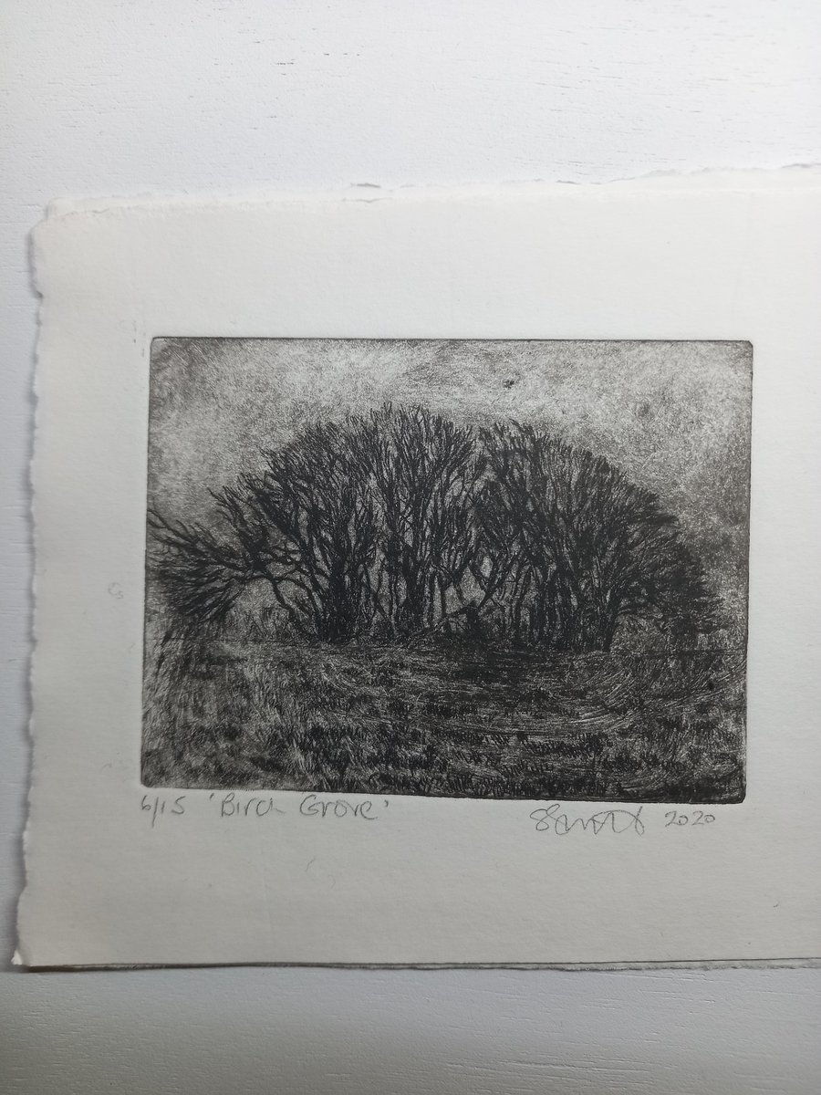 Moody etching 'Birch grove, Exmoor'