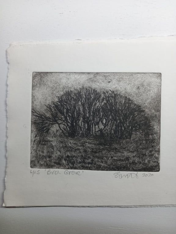 Moody etching 'Birch grove, Exmoor'
