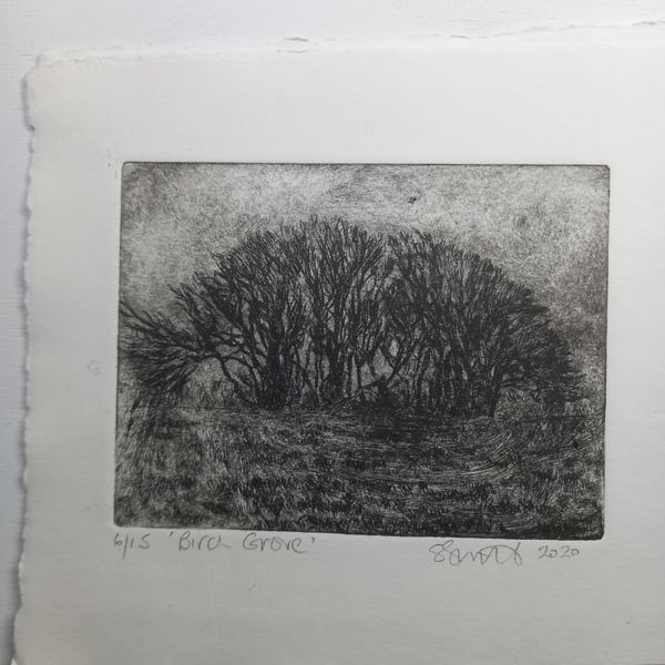 Moody etching 'Birch grove, Exmoor'