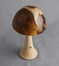 Toadstool in Laburnum - Image 2