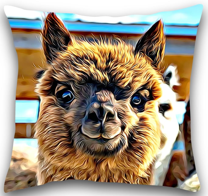 Alpaca Cushion Alpaca Pillow