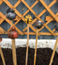  Cane Tops - Handmade for your Bamboo Sticks - Image 1