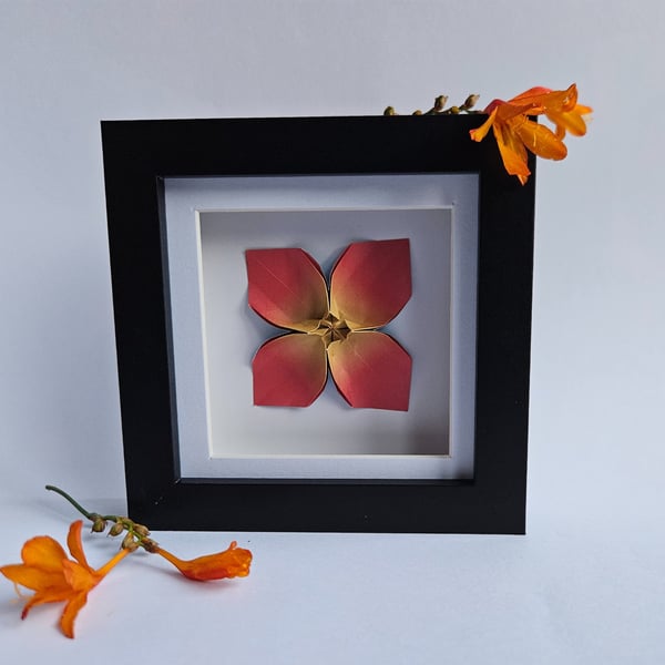 Red origami flower in a shadow box frame
