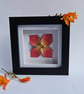 Red origami flower in a shadow box frame - Image 1