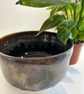 Hand thrown decorative bowl or planter