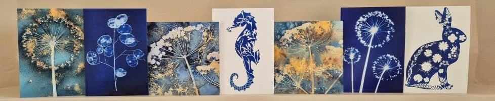 Jo Purdue Cyanotypes