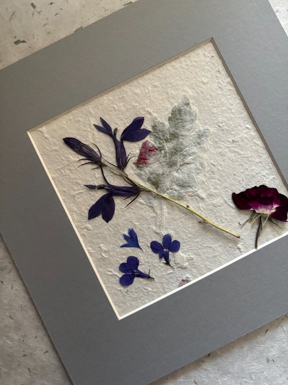Original Pressed Flower Picture Grey Mount