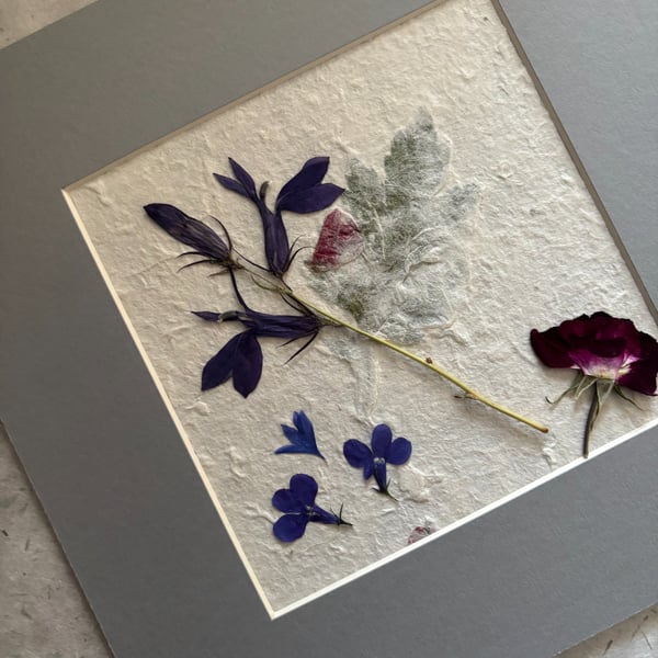 Original Pressed Flower Picture Grey Mount