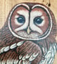 Tawny owl original painting on Oak wood - Image 2