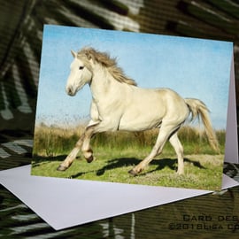 Exclusive Handmade Horse Greetings Card on Archive Photo Paper