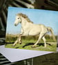 Exclusive Handmade Horse Greetings Card on Archive Photo Paper - Image 1