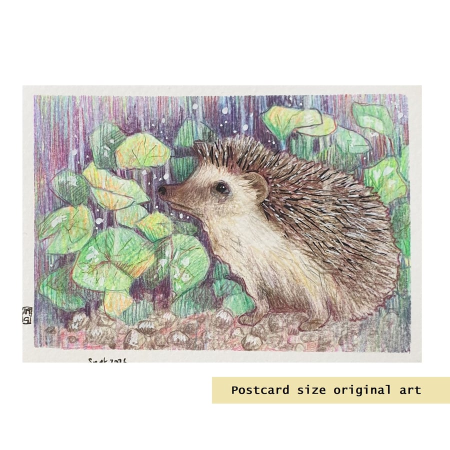 Little Hedgehog drawing, letterbox art gift, original art