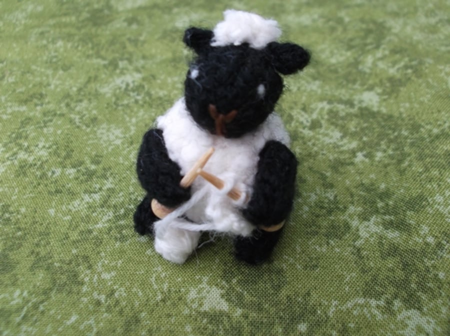 Knitting sheep