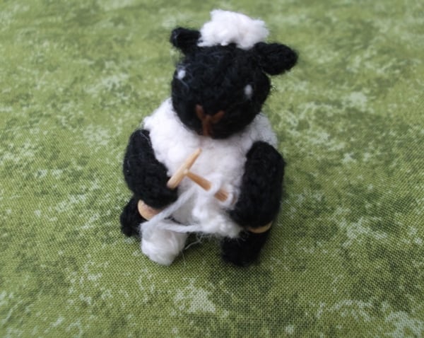 Knitting sheep