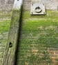 pendant - Image 2