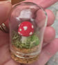 Miniature Toadstool Diorama  - Image 2