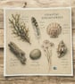 Coastal Discoveries Handmade Greeting Card – Beach Finds Card. Seaside Nature - Image 5