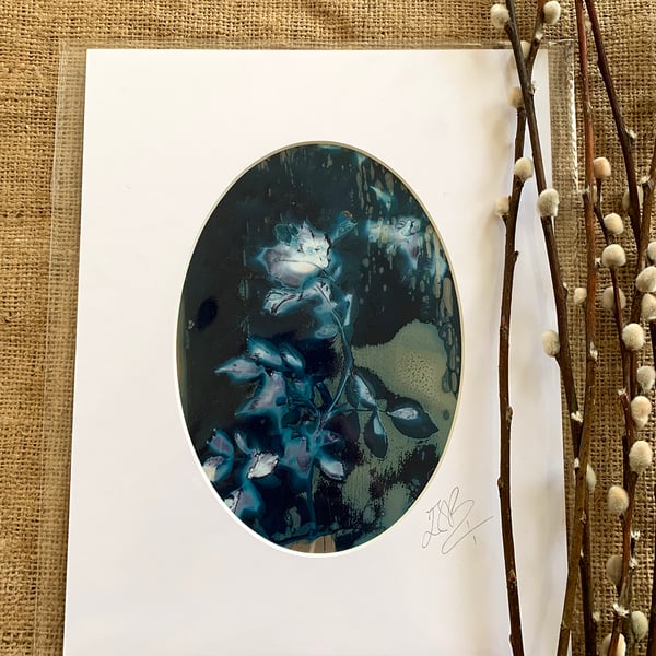 Cyanolumen Flowers Mount no.3