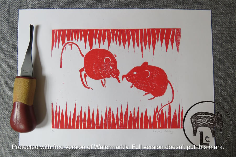 Red A4 elephant shrew (sengis) print (OE11)