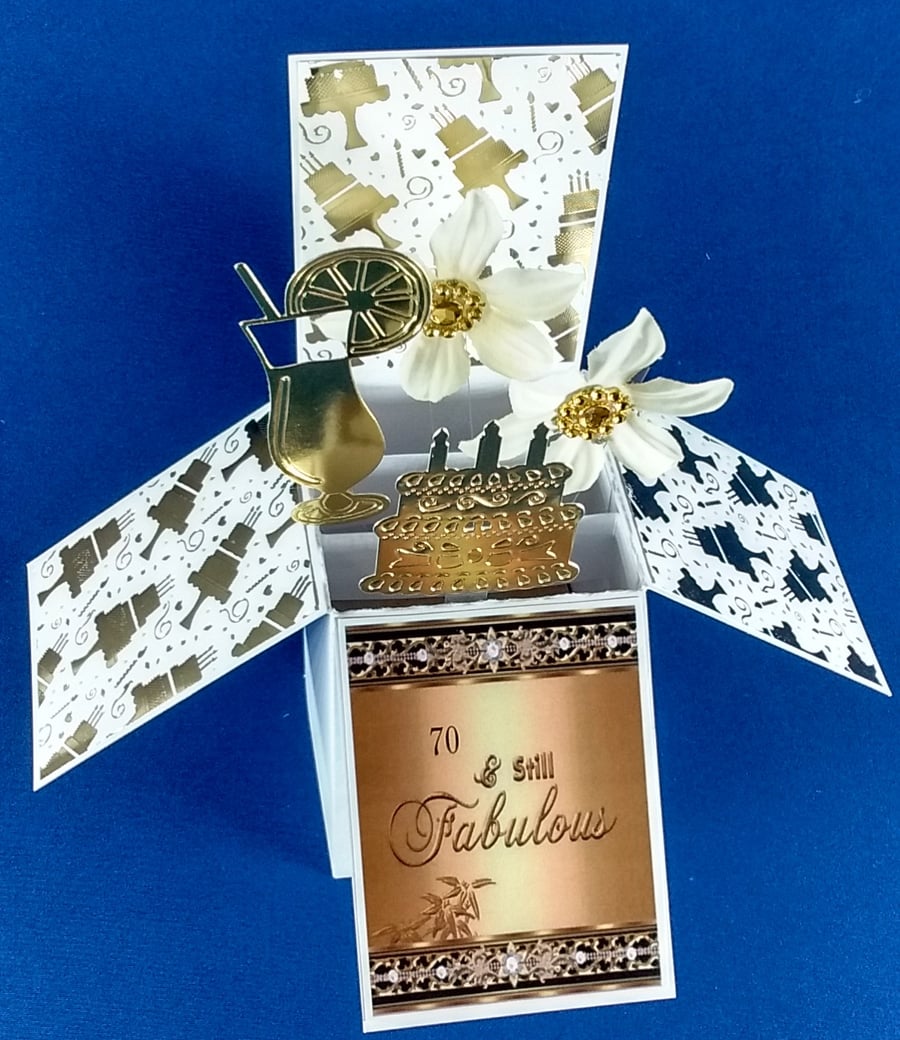 Ladies 70th Birthday Card