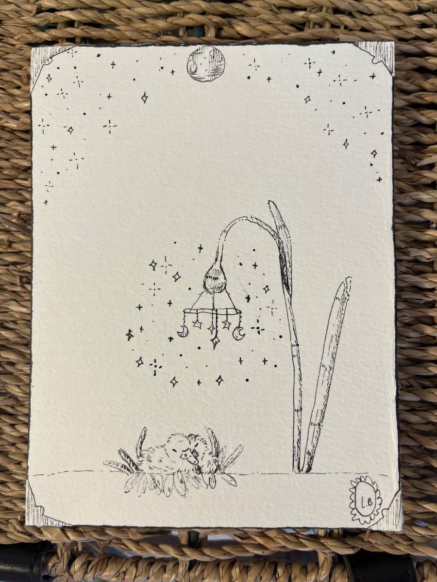 Double Trouble: Sleepie Duckies.