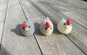 chickens