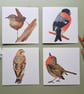 Dartmoor Winter Bird Card - Pack of 4 - Image 1