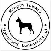 Minpin Towers