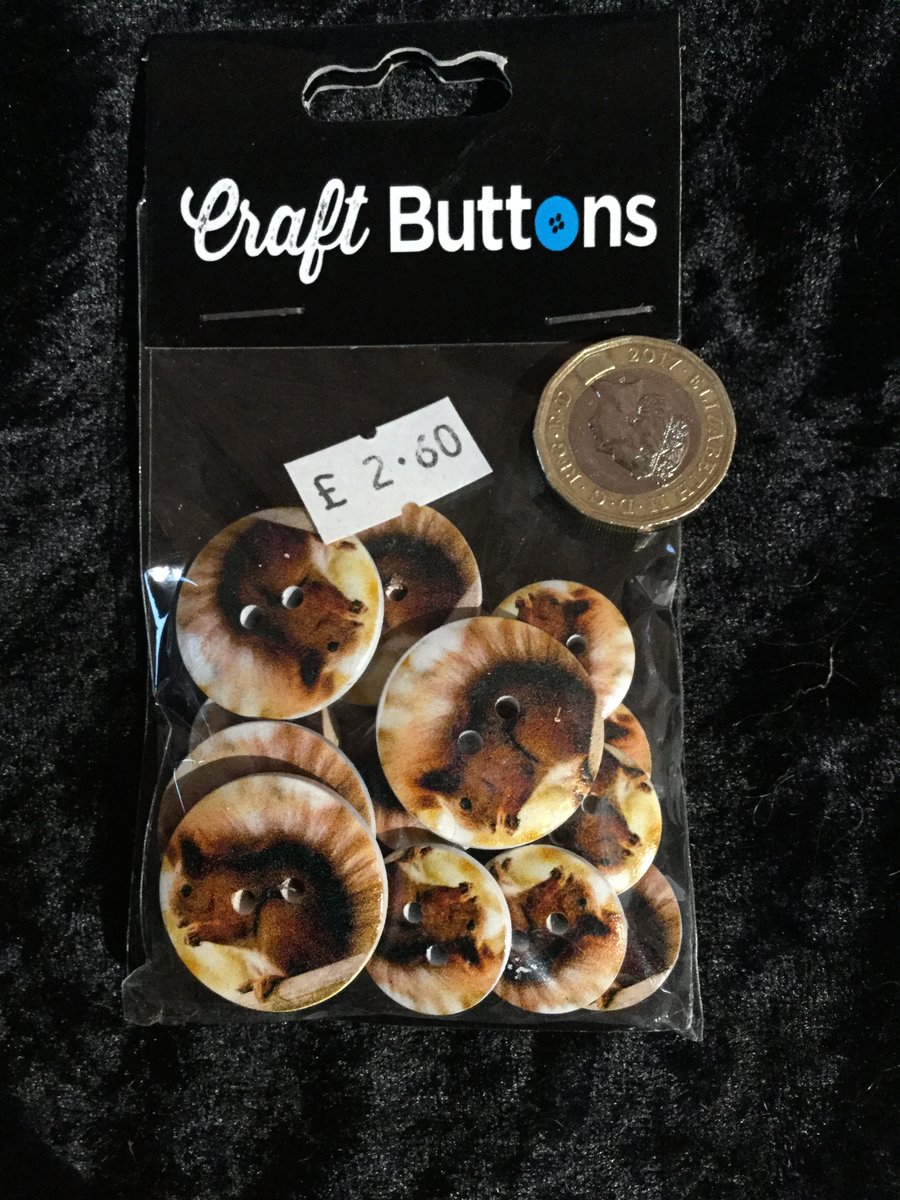 Craft Buttons with a Red Squirrel Image (N.57)