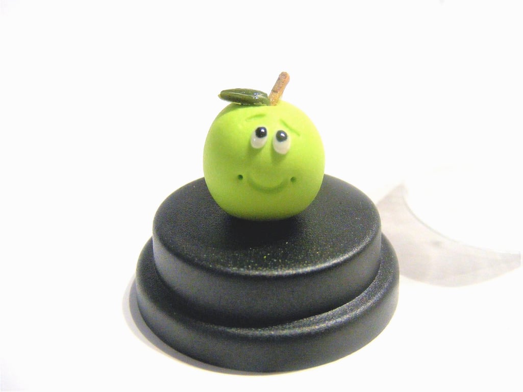 Pet Apple,  Apple gift, Gift for teacher, Gift for him, Gift for her Vegetarian