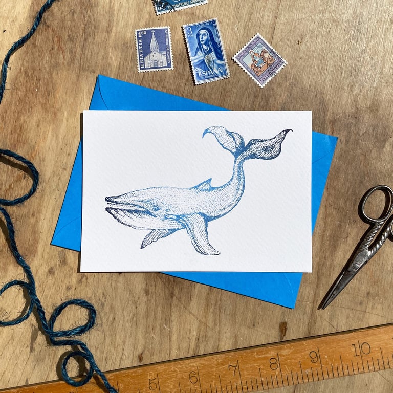 Whale Illustrated Blank Greeting Card