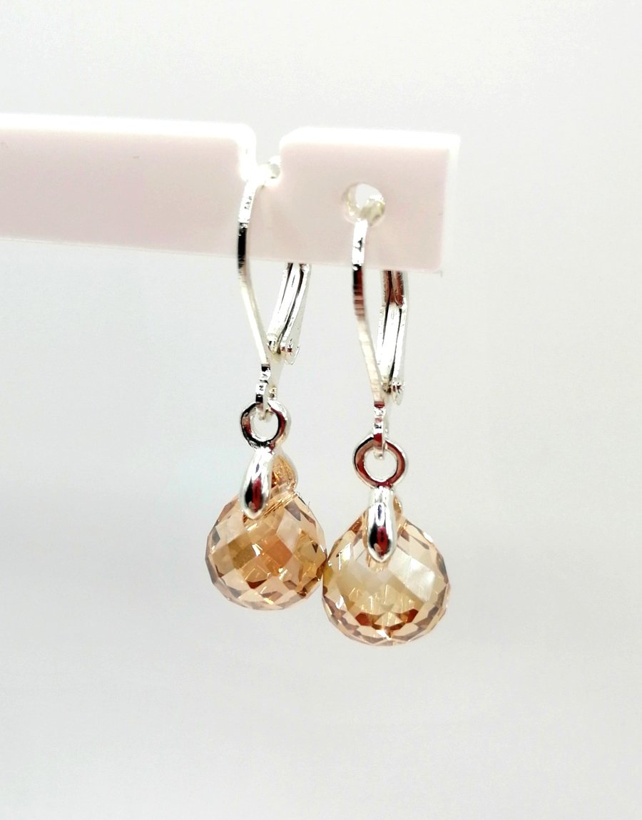 Golden Dangle Earrings