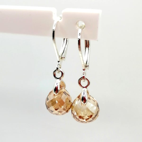 Golden Dangle Earrings