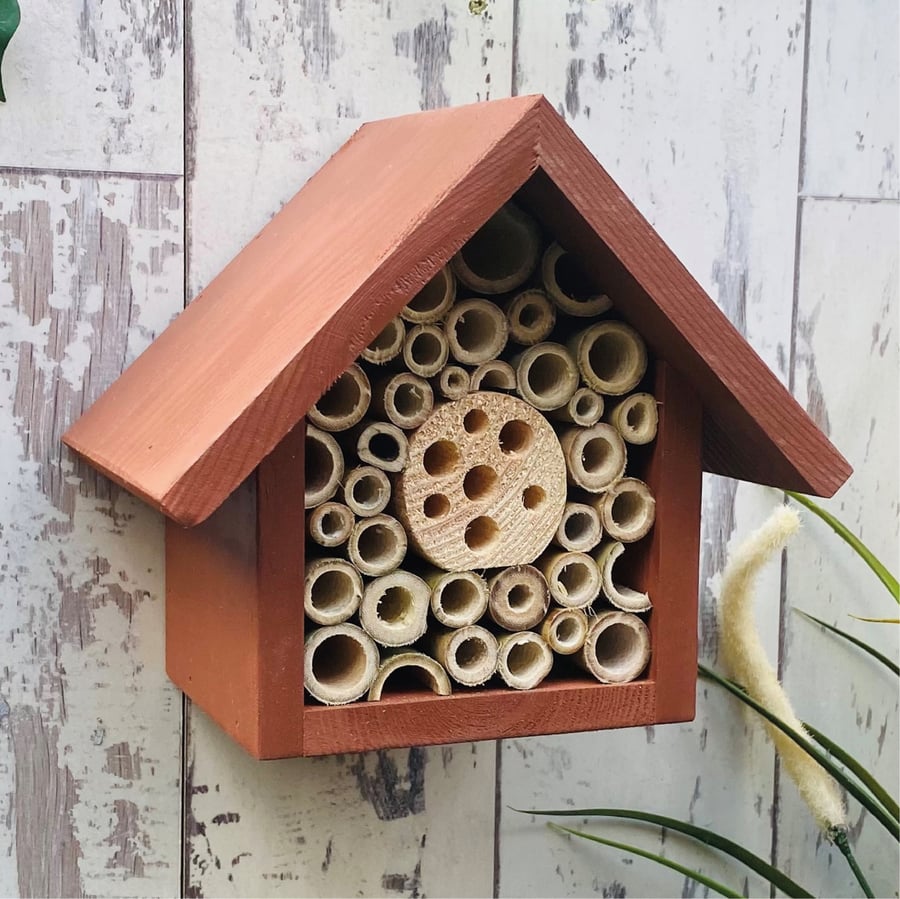 Small Bee and Insect House in Brown.