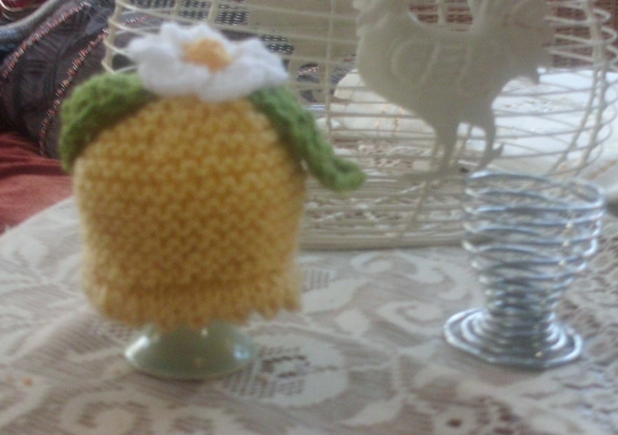 Knitted Egg Cosy