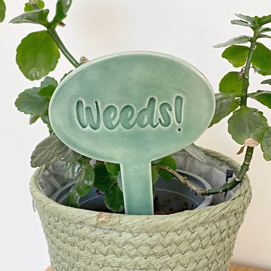 Weeds! Ceramic Herb Plant Marker