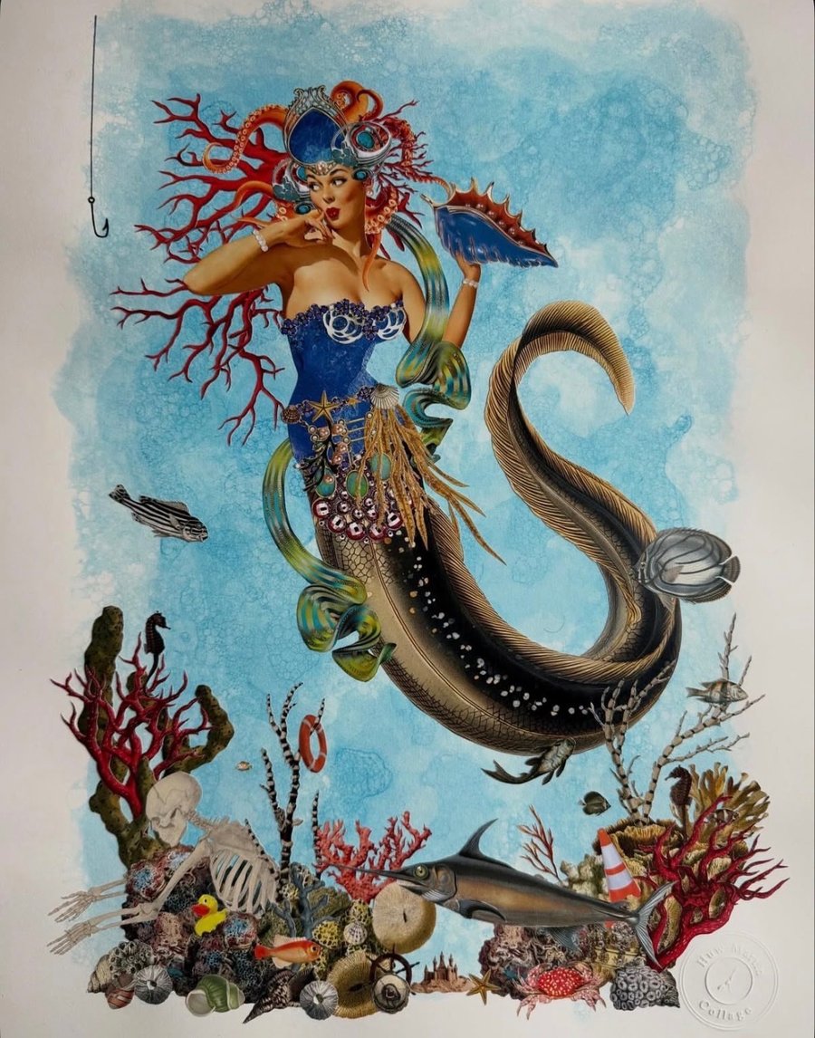 "CATCH OF THE DAY" - A2 LIMITED EDITION PRINT