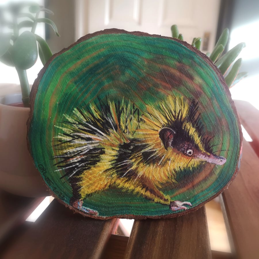 Lowland Streaked Tenrec - Original Painting on Wood Slice