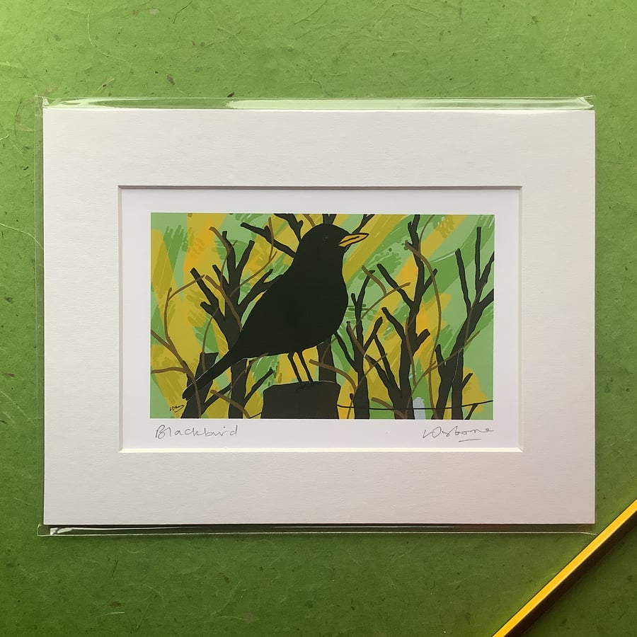 Blackbird - print from digital illustration. Garden bird.
