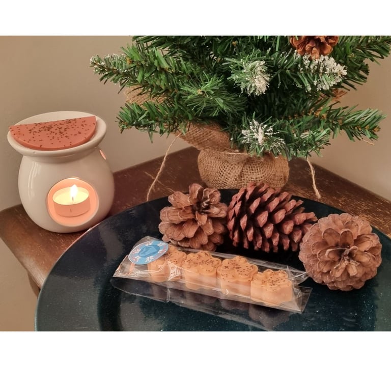 Christmas Fragrance Soy Wax Melt Paws 4 Pack Gingerbread Scent Stocking Filler